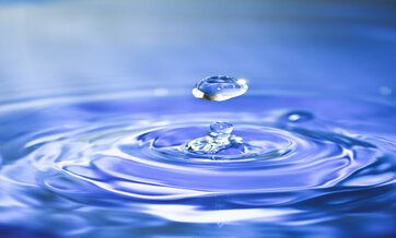 Immersion Fluid